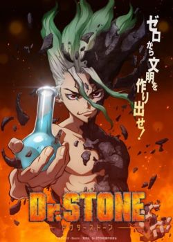 Dr. Stone