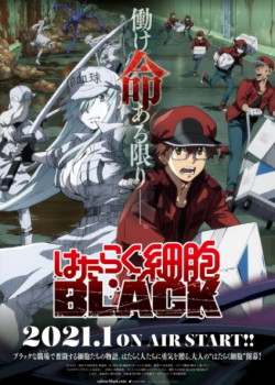 Phim Hataraku Saibou Black (TV)